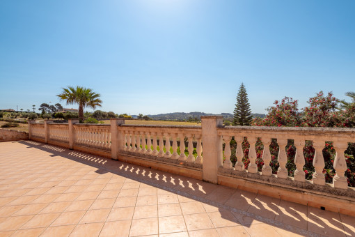 View from the terrace