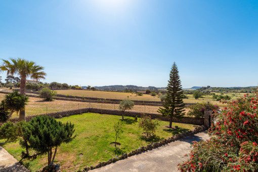 Splendid garden views