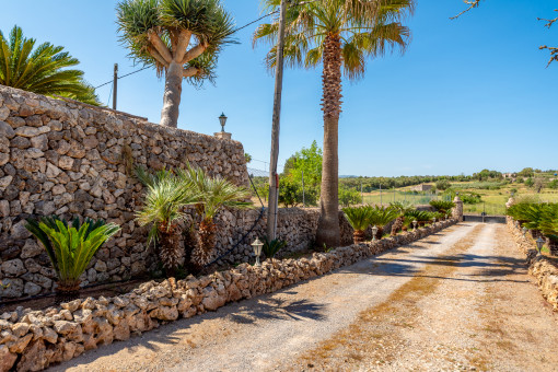 Impressive entrance drive way