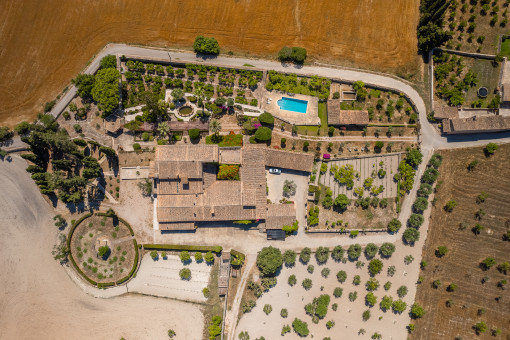 View of the spacious finca property