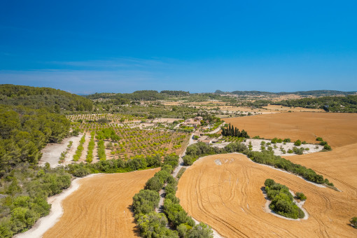 View of the spacious finca property