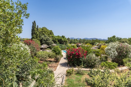 Splendid garden