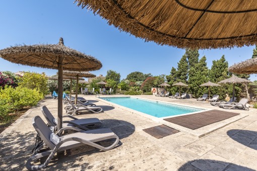 Pool area with sun loungers