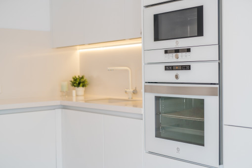 Modern kitchen