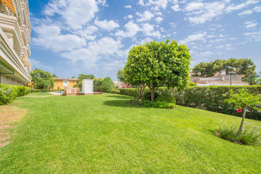 Large garden area