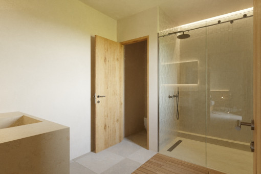 Another noble bathroom 