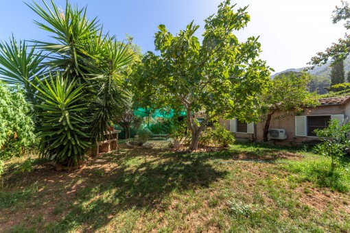 Splendid garden with mature trees