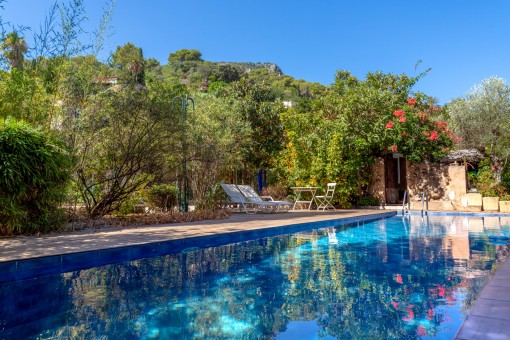 Fantastic pool area