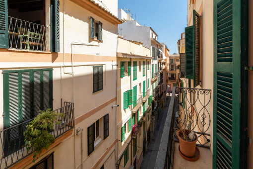 apartment in Palma de Mallorca Old Town