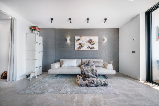 Stylish living area