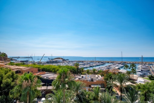 Wonderful sea views
