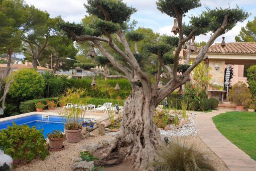 villa in Santa Ponsa