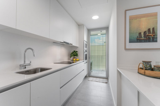 Modern kitchen in white