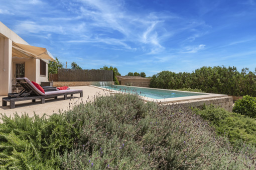 Exterior view and pool