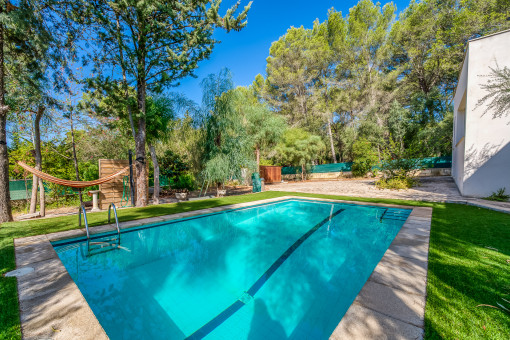 Salt-water pool surrounded by various trees