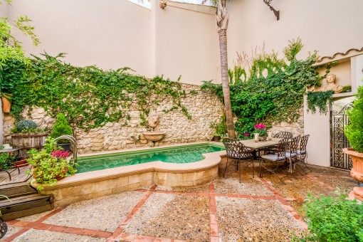Pool and patio