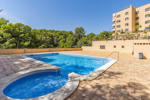 apartment in Cala Mayor