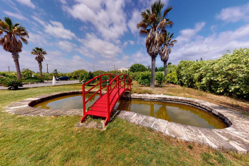 Natural pond in the garden