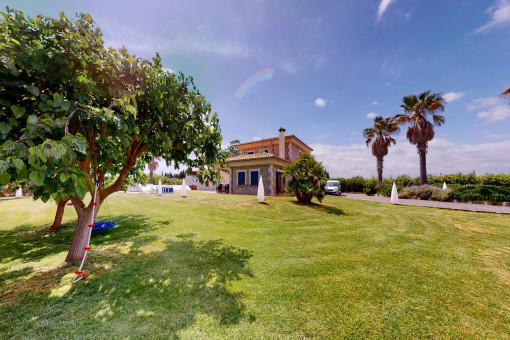 Natural-stone finca with pool and olive tree plantation near Playa de Muro