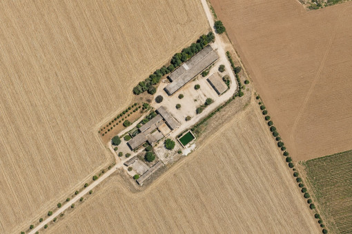Aerial view of the entire estate
