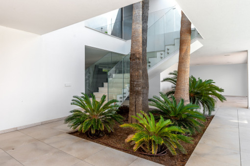 Small patio with palm trees