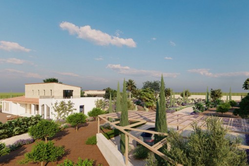 plot in Algaida