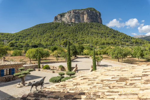 View from the terrace