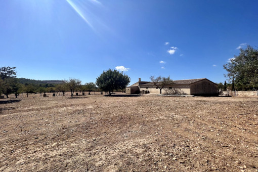 plot in Santa Ponsa