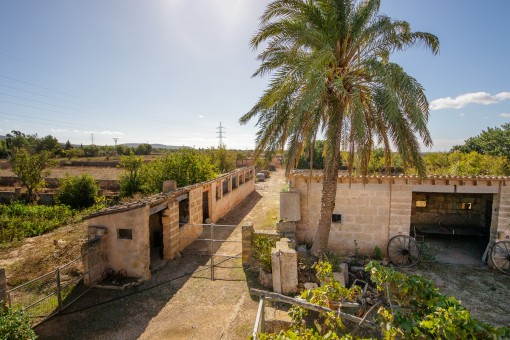 finca in Llucmajor