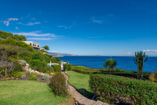 Well mantained community  garden