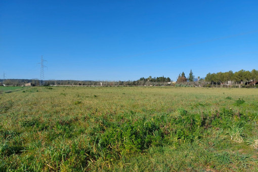 View of the plot