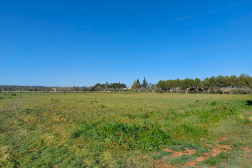 Building plot with construction project in Ruberts