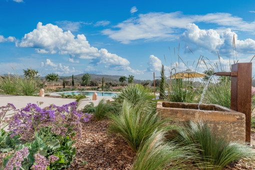 Beautifully landscaped garden