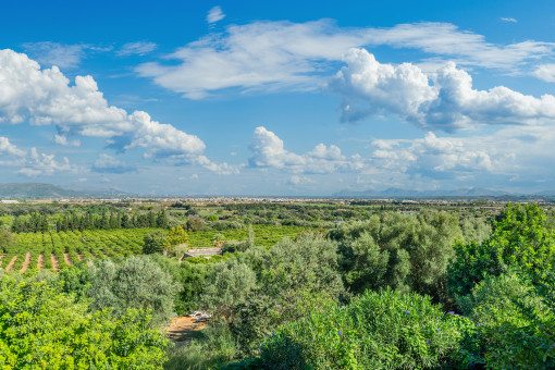 Countryside views