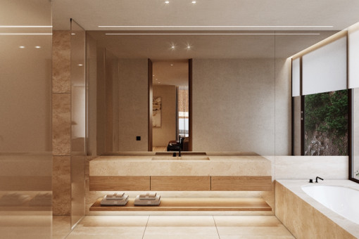 Modern bathroom with bath tub