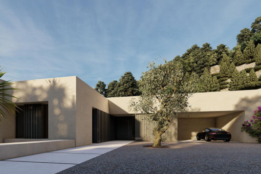 Entrance area and garage