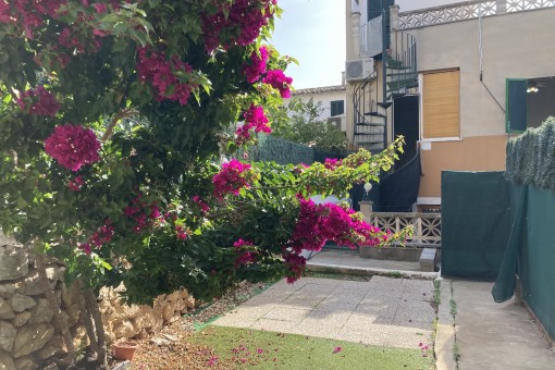 apartment in Alaro