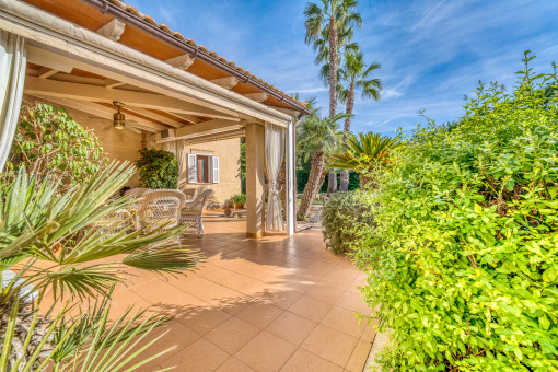 Terrace and garden