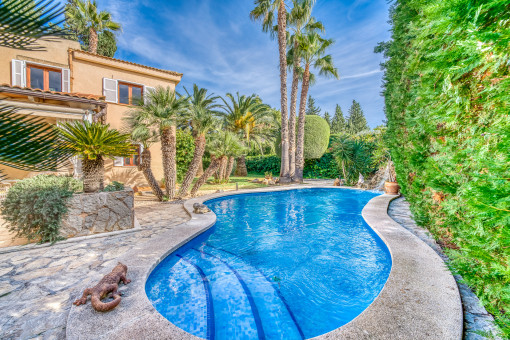 Charming villa with garden and pool quietly located in Bonaire