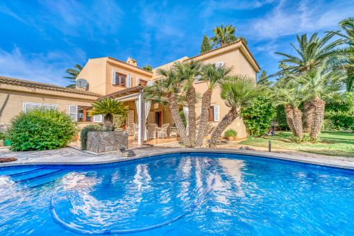 Wonderful pool surrounded by palma trees