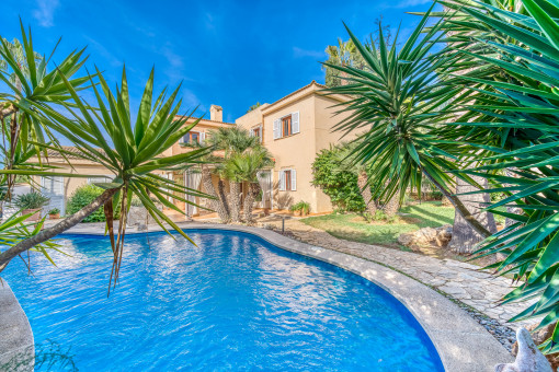 Lovely pool area