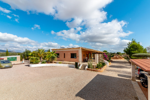 Driveway to the finca
