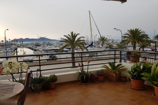 Terrace with harbour views