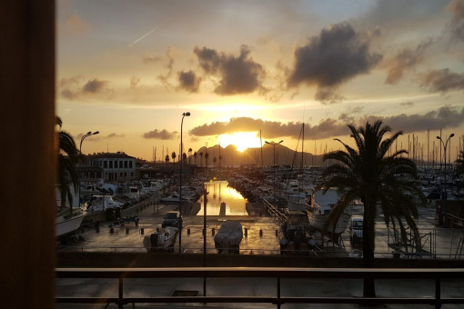 apartment in Puerto Pollensa
