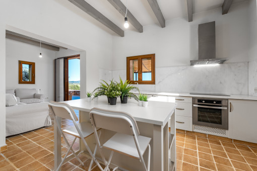 Modern kitchen and living area