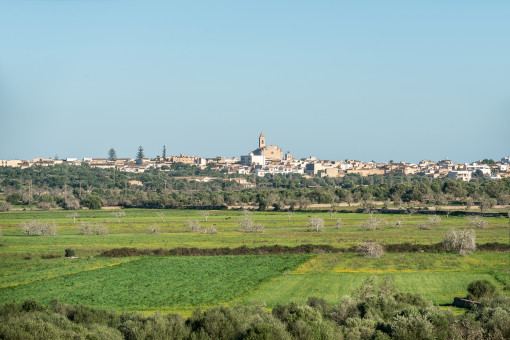 View of the finca