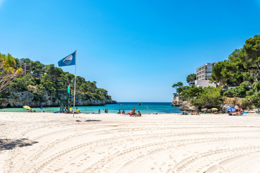 Beach of Cala Santanyi