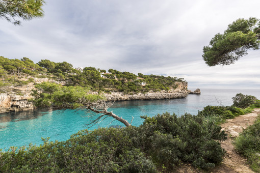 View to the sea