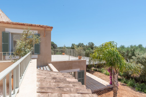 Terrace with views