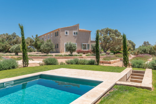 Finca with pool